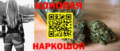 spice Обнинск