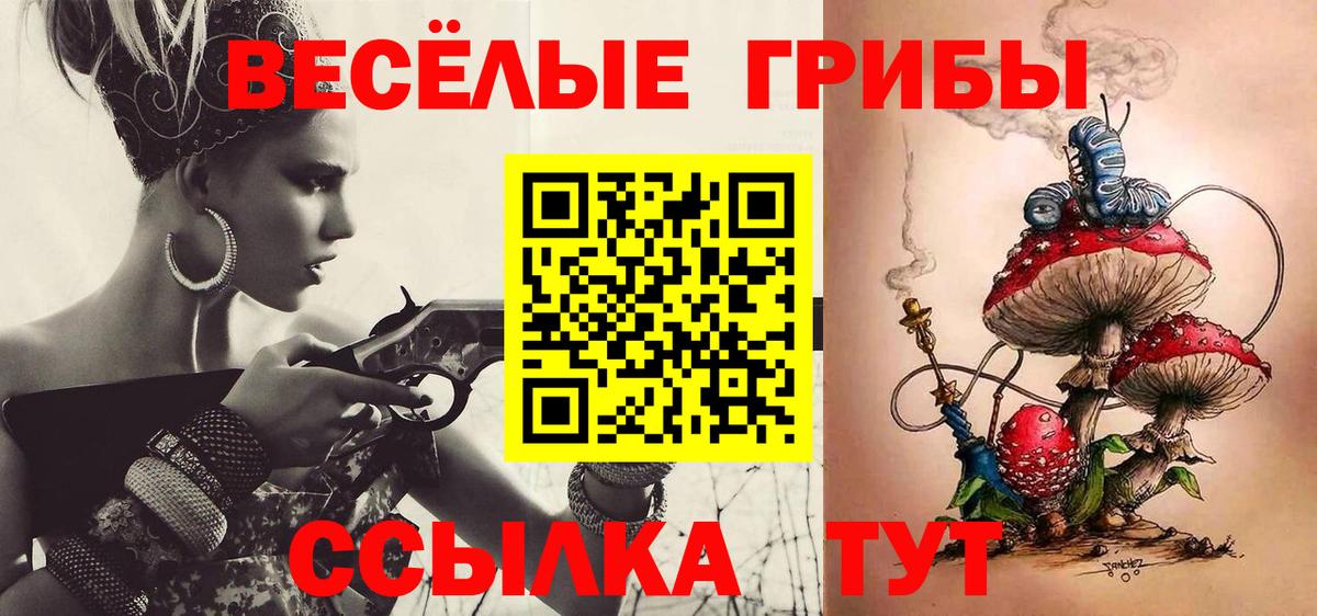 Галлюциногенные грибы прущие грибы  Вход с VPN  Черняховск 